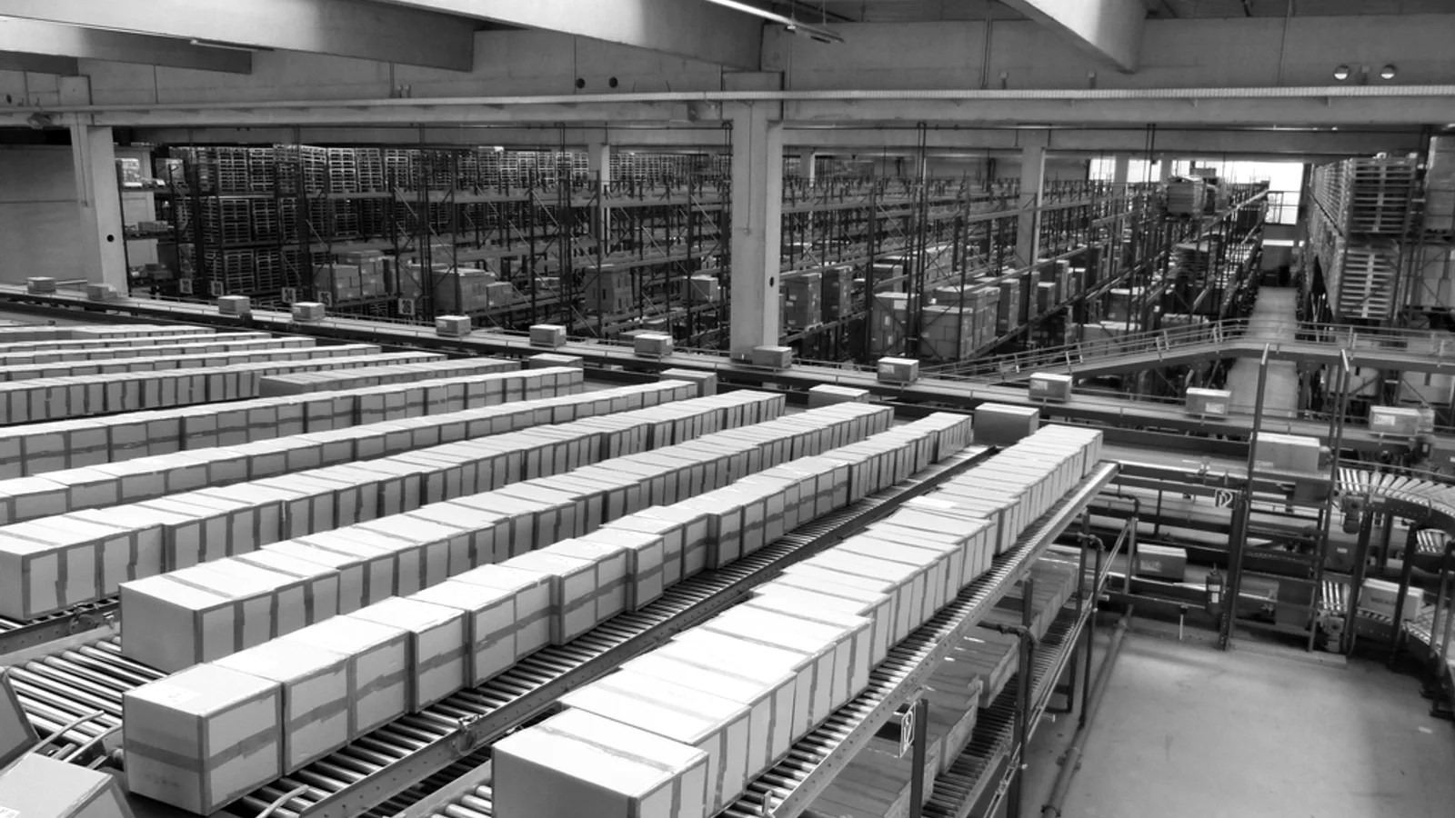Streamlining Procurement Operations with a Digital Purchase Management Platform